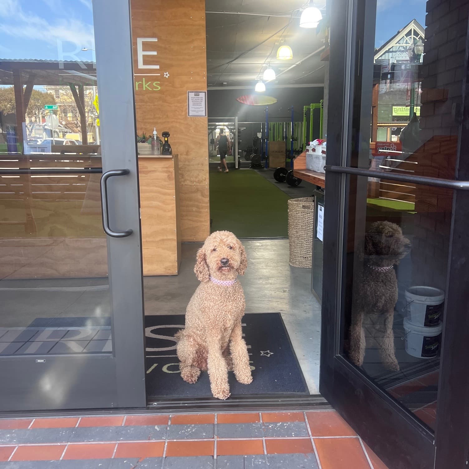 Rise Bodyworks facility